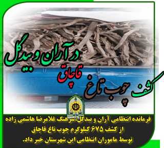 کشف ۶۷۵ چوب تاغ قاچاق در آران و بیدگل