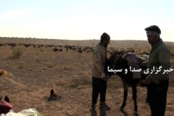 ورود دامداران به مراتع قشلاقی شهرستان آران وبیدگل
