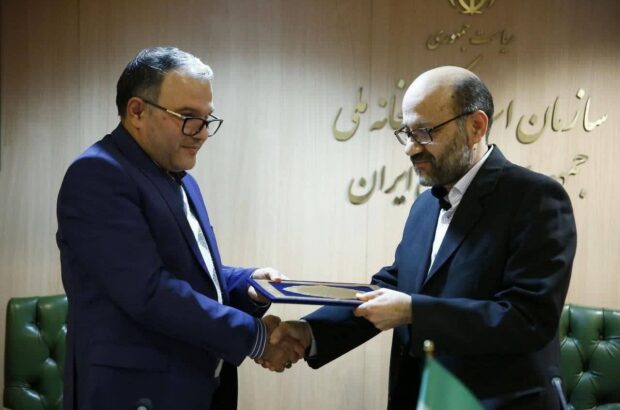 سید محمود سادات بیدگلی سرپرست معاونت پژوهش و منابع دیجیتال سازمان اسناد و کتابخانه ملی ایران شد