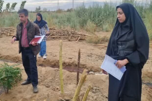 تولید ۶ میلیون اصله نهال توسط مجتمع فولاد کویر آران و بیدگل ادامه دارد