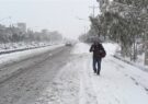 شهرستان کویری و خشک آران و بیدگل با بارش برف زمستانی سفید پوش شد