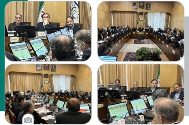 برگزاری جلسه صاحبان صنعت فرش ماشینی کاشان و آران و بیدگل در کمیسیون صنایع مجلس