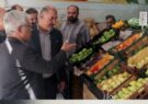 پایش مستقیم قیمت‌ها و وضعیت تأمین کالاهای اساسی در صنوف آران و بیدگل
